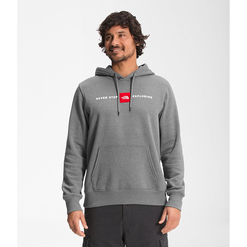 The North Face Hoodie Mens Australia - The North Face Red’S Pullover Grey Hiking (KIJ-758039)